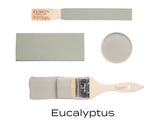 Eucalyptus Fusion Mineral Paint