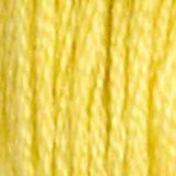 DMC 6-Strand Embroidery Floss (GROUP#1)