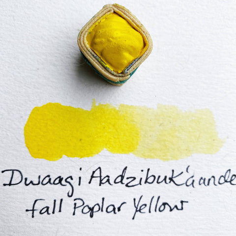 Paintstones!: Fall Poplar Yellow