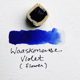 Paintstones!: Ice Blue