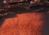 Tri-Art Oil Colours