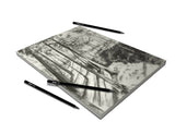 Charcoal Drawing Introductory Set – Zieler