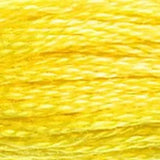 DMC 6-Strand Embroidery Floss (GROUP#1)
