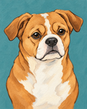 Paint Your Pet- Nov 19@6pm