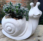 Kids Snail Planter Workshop-Mar 12@1pm