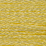 DMC 6-Strand Embroidery Floss (GROUP#1)