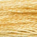 DMC 6-Strand Embroidery Floss (GROUP#1)