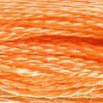 DMC 6-Strand Embroidery Floss (GROUP#1)