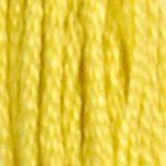 DMC 6-Strand Embroidery Floss (GROUP#1)