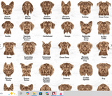 Tail & Timber: Dog Breed Ornament Series