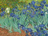 Irises, by Vincent van Gogh - Paint by Numbers: 15x20in