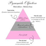 The Mini Delight Gourmet Candle- Watermelon