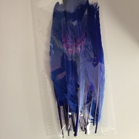 7" Duck Quill Feathers 12/pkg ROYAL BLUE