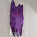 7" Duck Quill Feathers 12/pkg PURPLE
