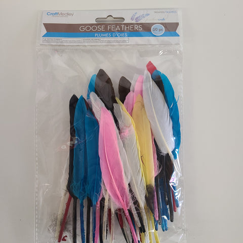 Goose Feathers 50pk