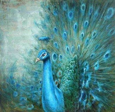 Stunning Peacock