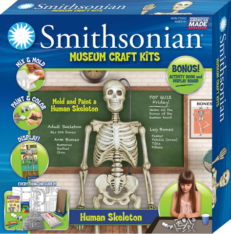 Smithsonian Museum Craft Kits - Human Skeleton