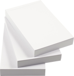 Blank Flipbooks (3-pack)