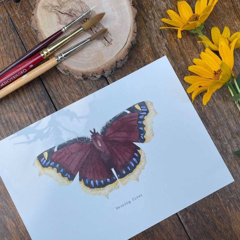 Paint By Numbers! Mourning Cloak