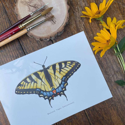 Paint By Numbers! Eastern Tiger Swallowtail