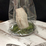 Lemurian Natural Castle Tower