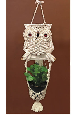 Owl Planter DIY Macrame