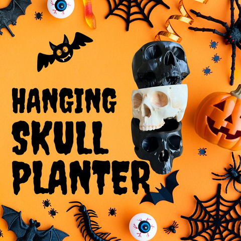 Skull Planters