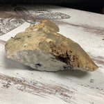 Micro Druzy/Calcite Hematite +Fossil-134g