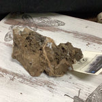 Micro Druzy Quartz/Calcite Hematite +Fossil